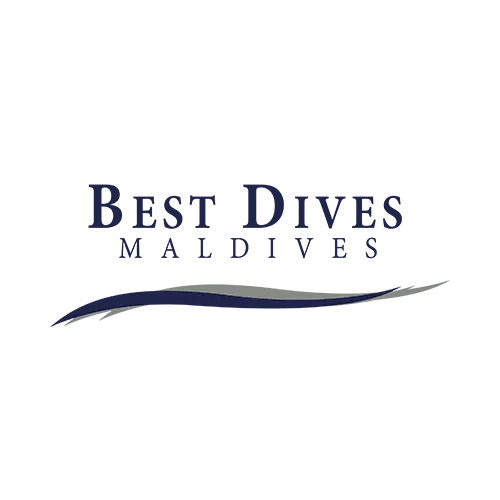 Best Dives Maldives